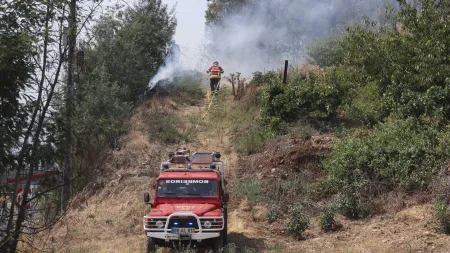 Incêndio no Fundão Agrava-se, Preocupação Aumenta no Combate às Chamas