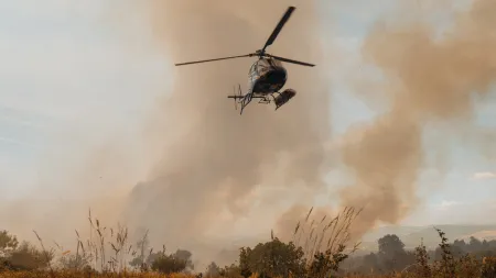Incêndio na Covilhã em fase de controlo, segundo autarca
