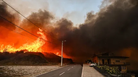 Apoio Social e Psicológico na Aldeia do Fundão Após Incêndios Devastadores