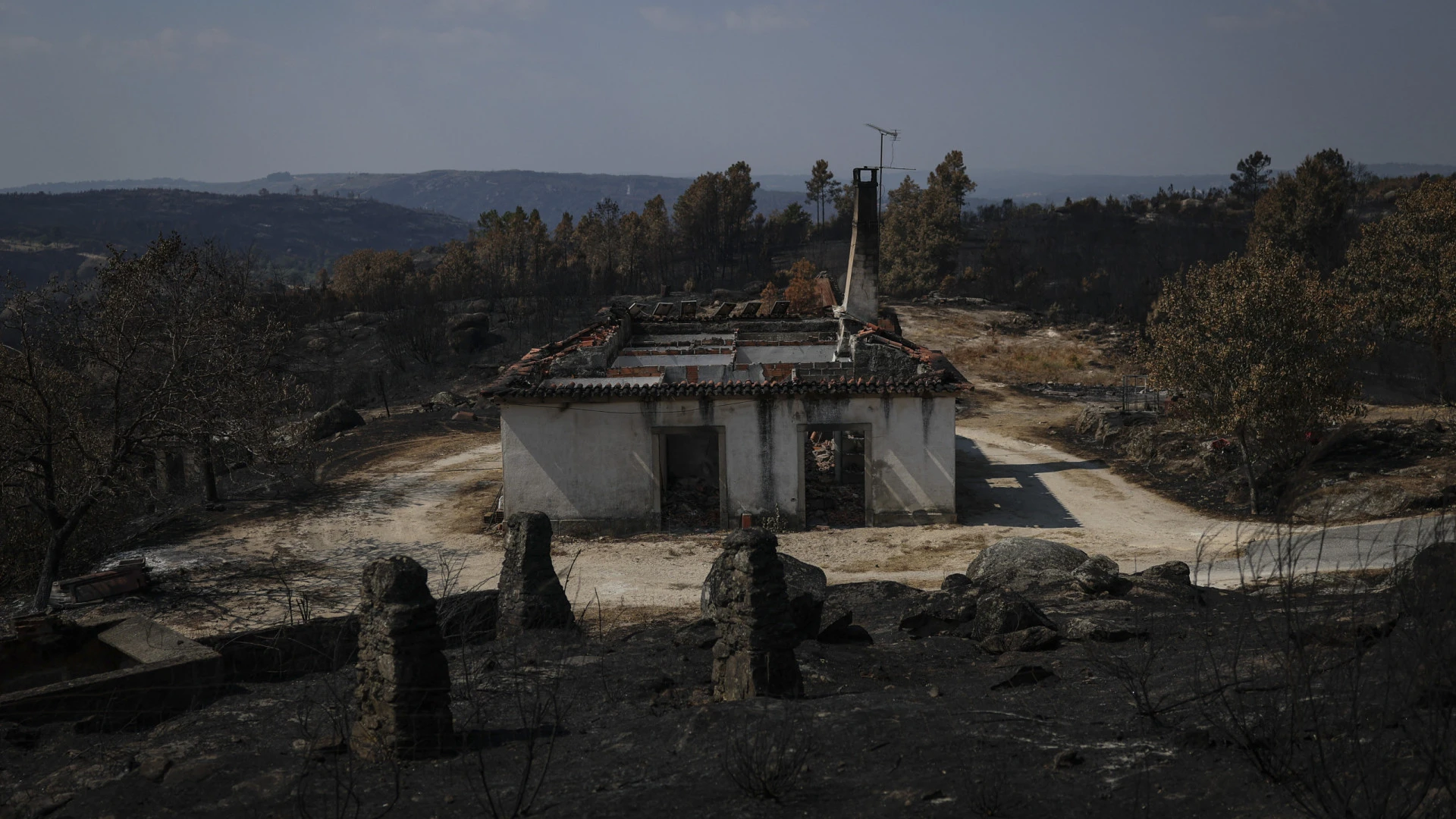 Incêndios na União Europeia: Mais de 1 milhão de hectares devastados em 2025