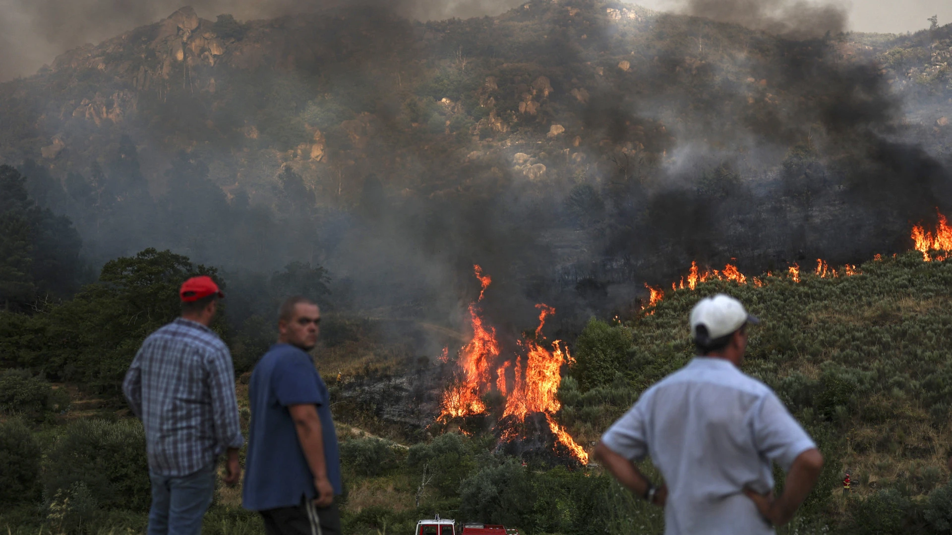 Apoio excecional de até 10.000 euros para agricultores afetados pelos incêndios