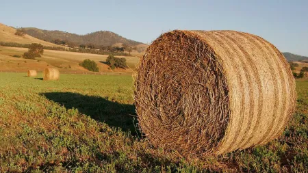 Fundão apoia agricultores com fornecimento de ração animal