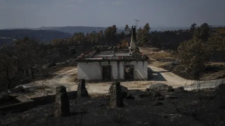 Incêndios na União Europeia: Mais de 1 milhão de hectares devastados em 2025