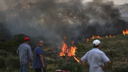Apoio excecional de até 10.000 euros para agricultores afetados pelos incêndios