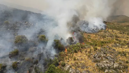 Pampilhosa da Serra encerra Plano de Emergência após fogo controlado