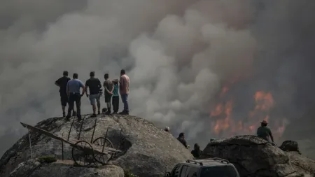 Incêndios em Espanha devastam 160 mil hectares de zonas protegidas