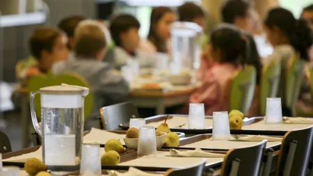 Câmara de Lisboa limita escolha de refeições vegetarianas nas escolas e gera reação