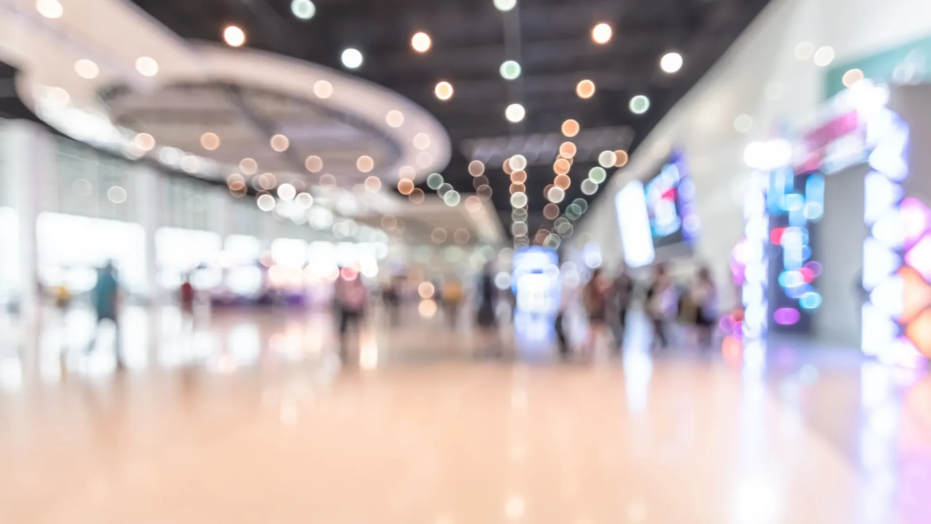 Direção das Artes destaca desafios na Rede Portuguesa de Arte Contemporânea