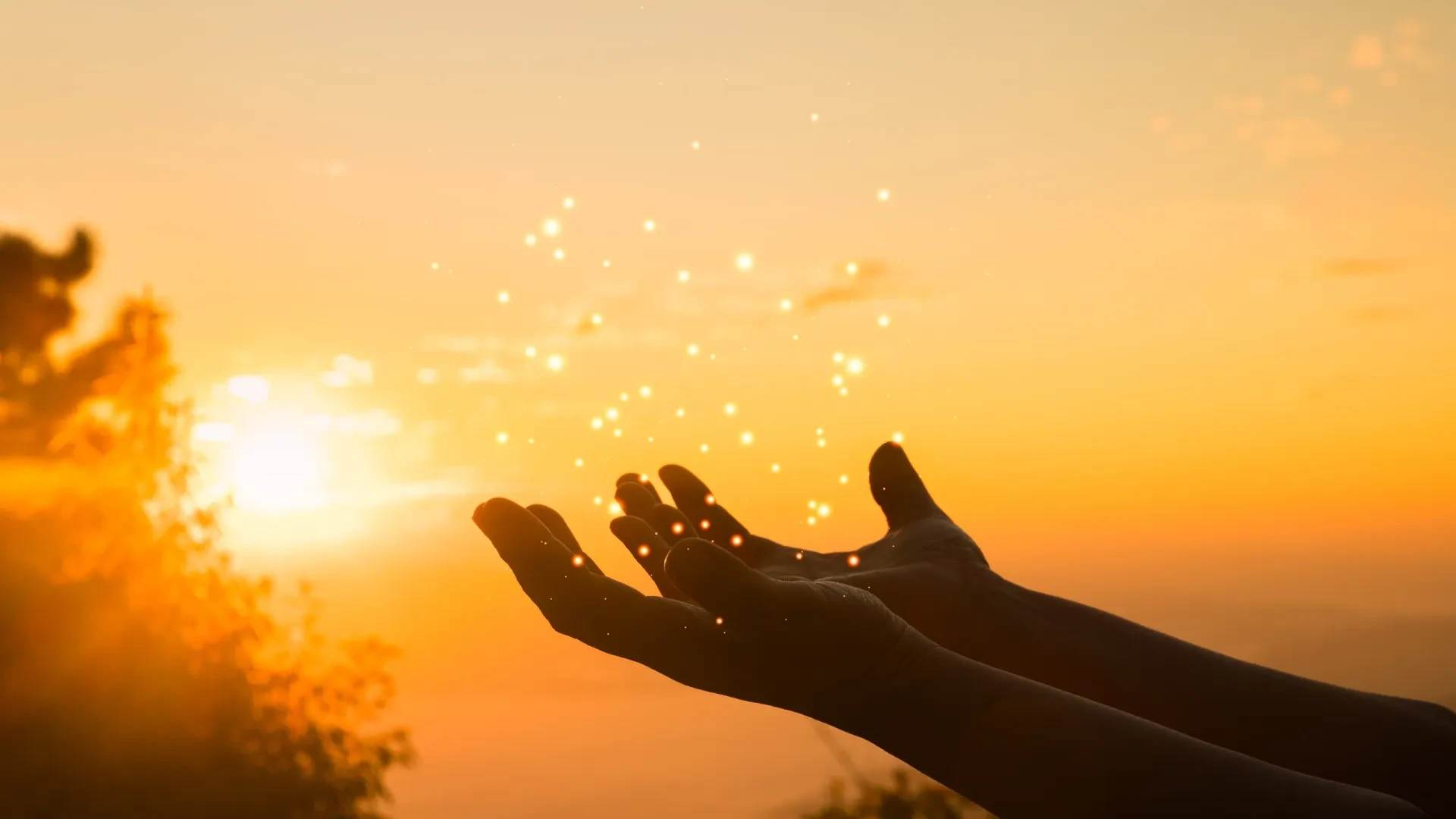 Estrelas Favoráveis: Quatro Signos sob a Luz de Novas Oportunidades