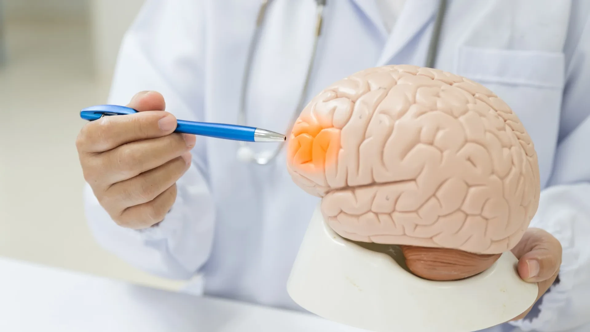 Variações na Pressão Arterial Podem Ser Sinal de Alerta para Alzheimer