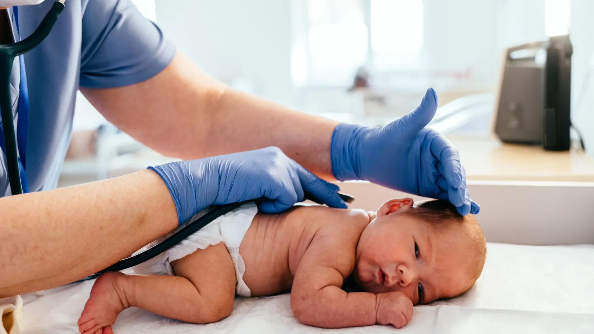 Vozes Femininas do Oceano dos Açores: Documentário Promove a Preservação Marinha