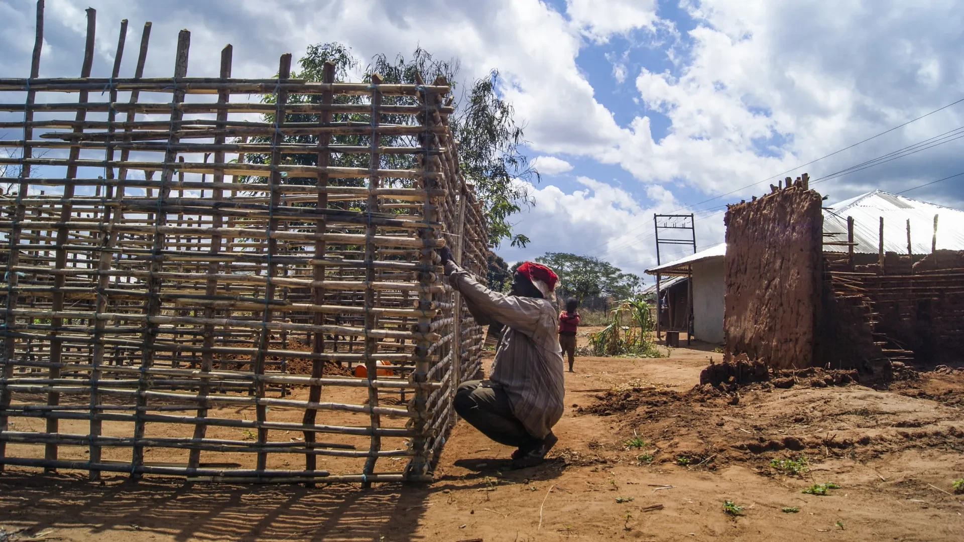 Revolta em Cabo Delgado: Grupos Armados Despojam Terras Agrícolas