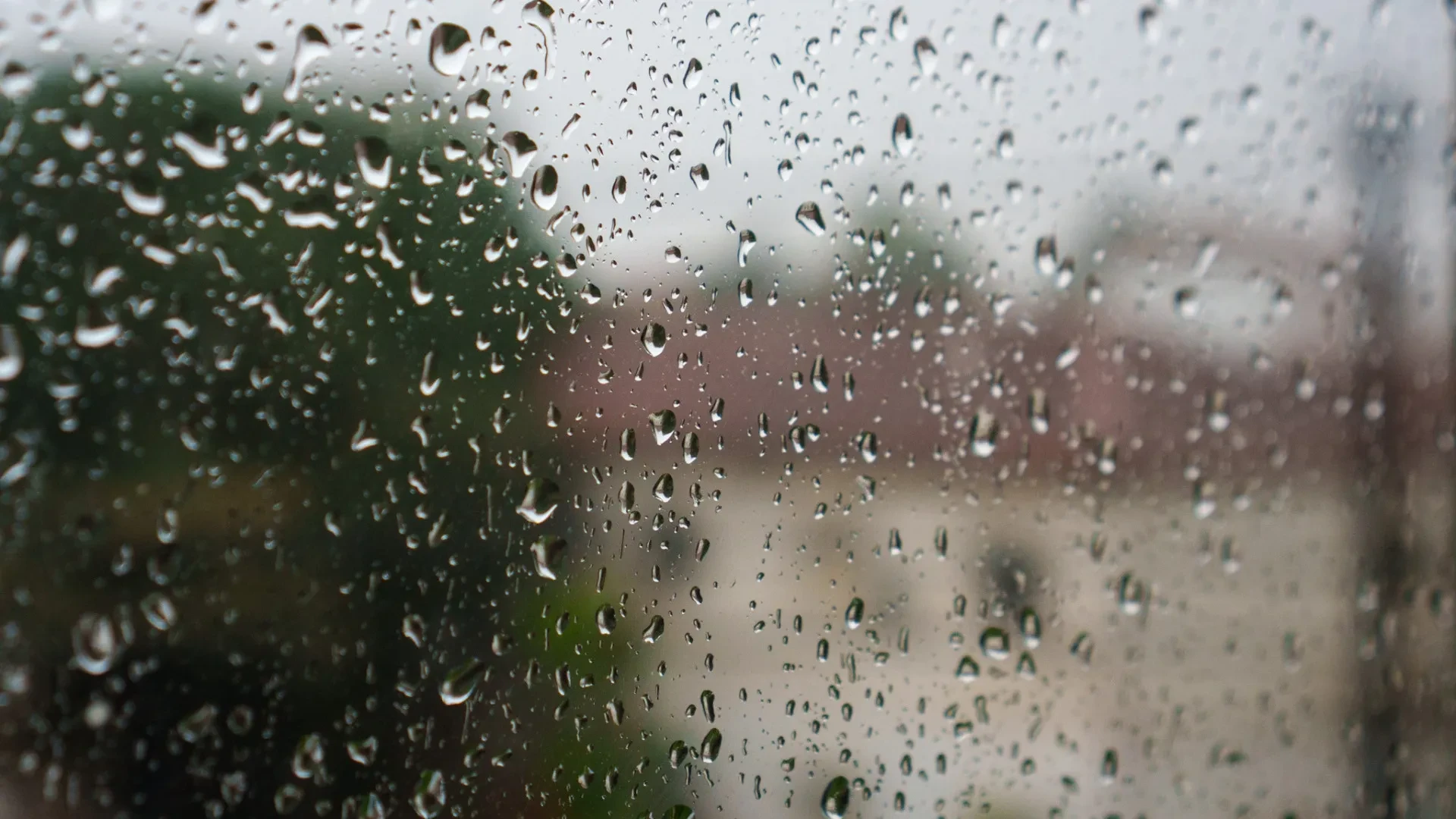Tráfego no Porto normalizado após tempestade