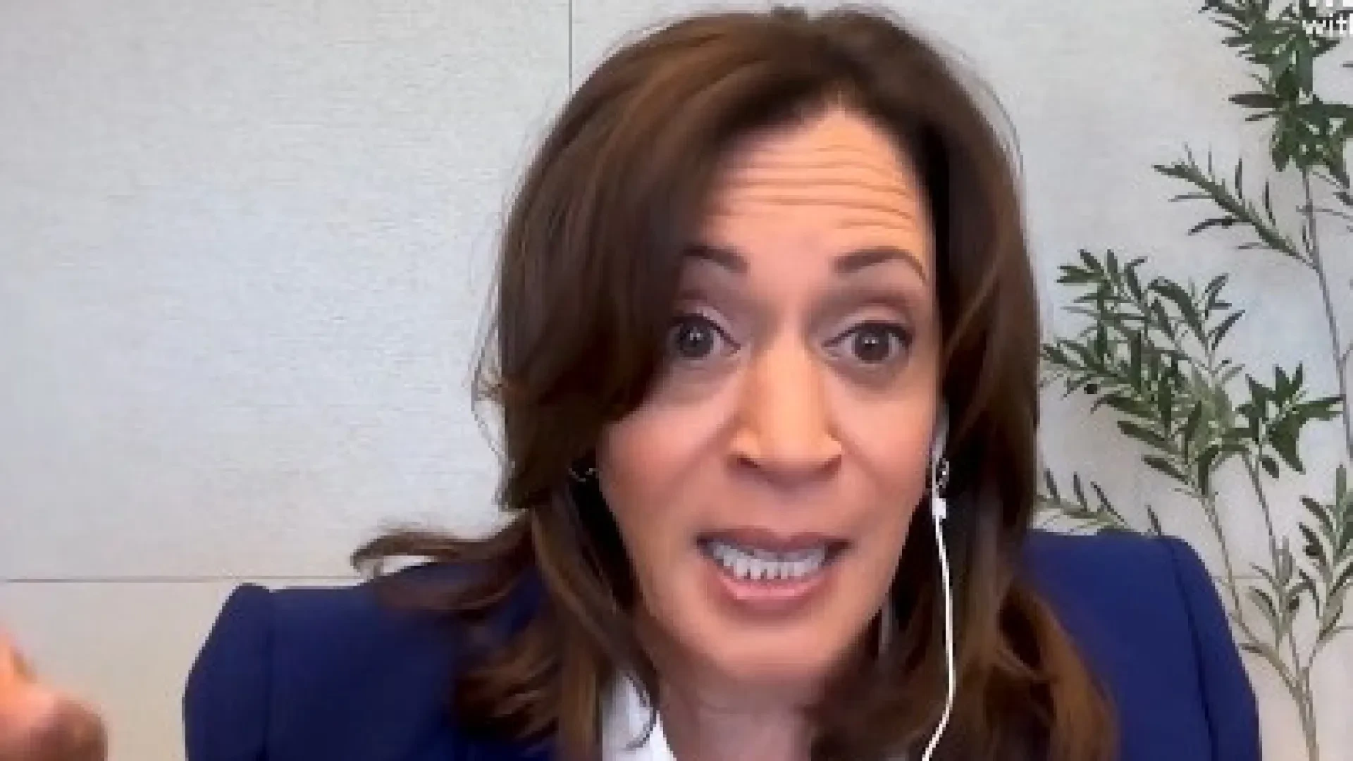Kamala Harris critica Trump por prioridades questionáveis na Casa Branca