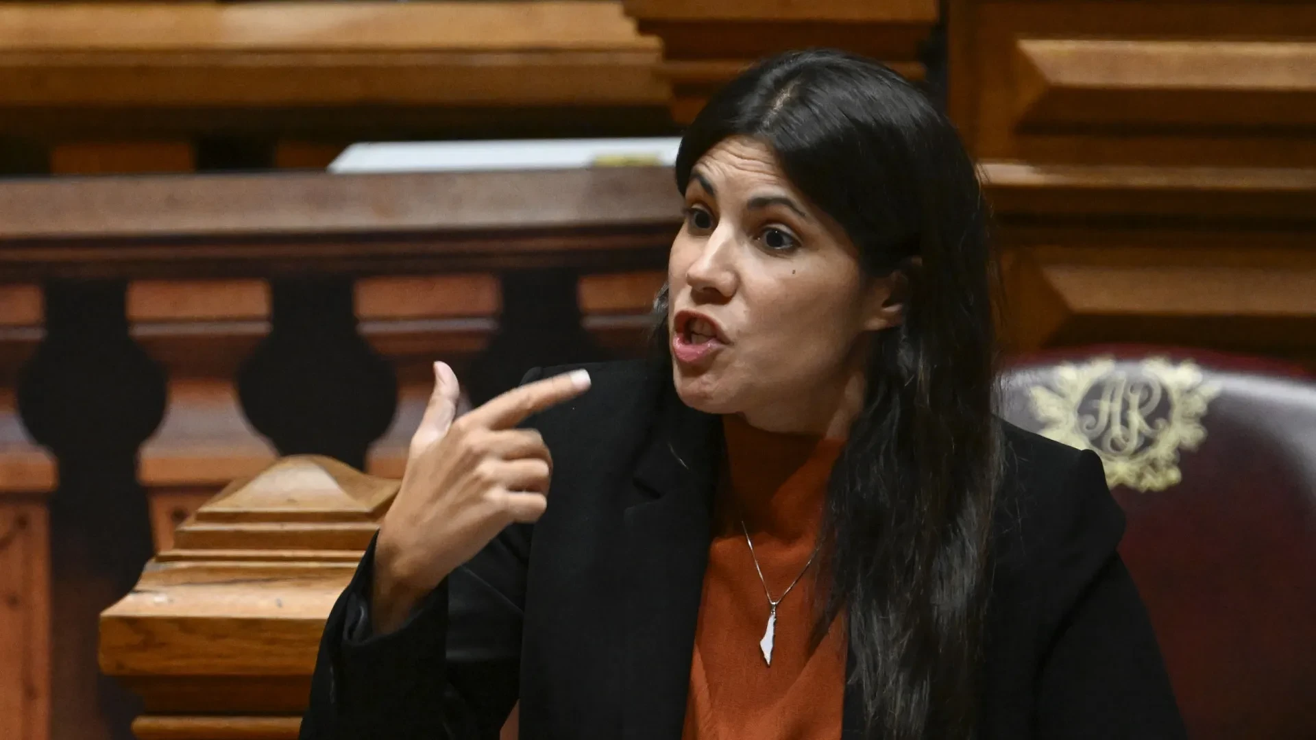 Petição sobre Mariana Mortágua gera controvérsia e evidencia desinformação