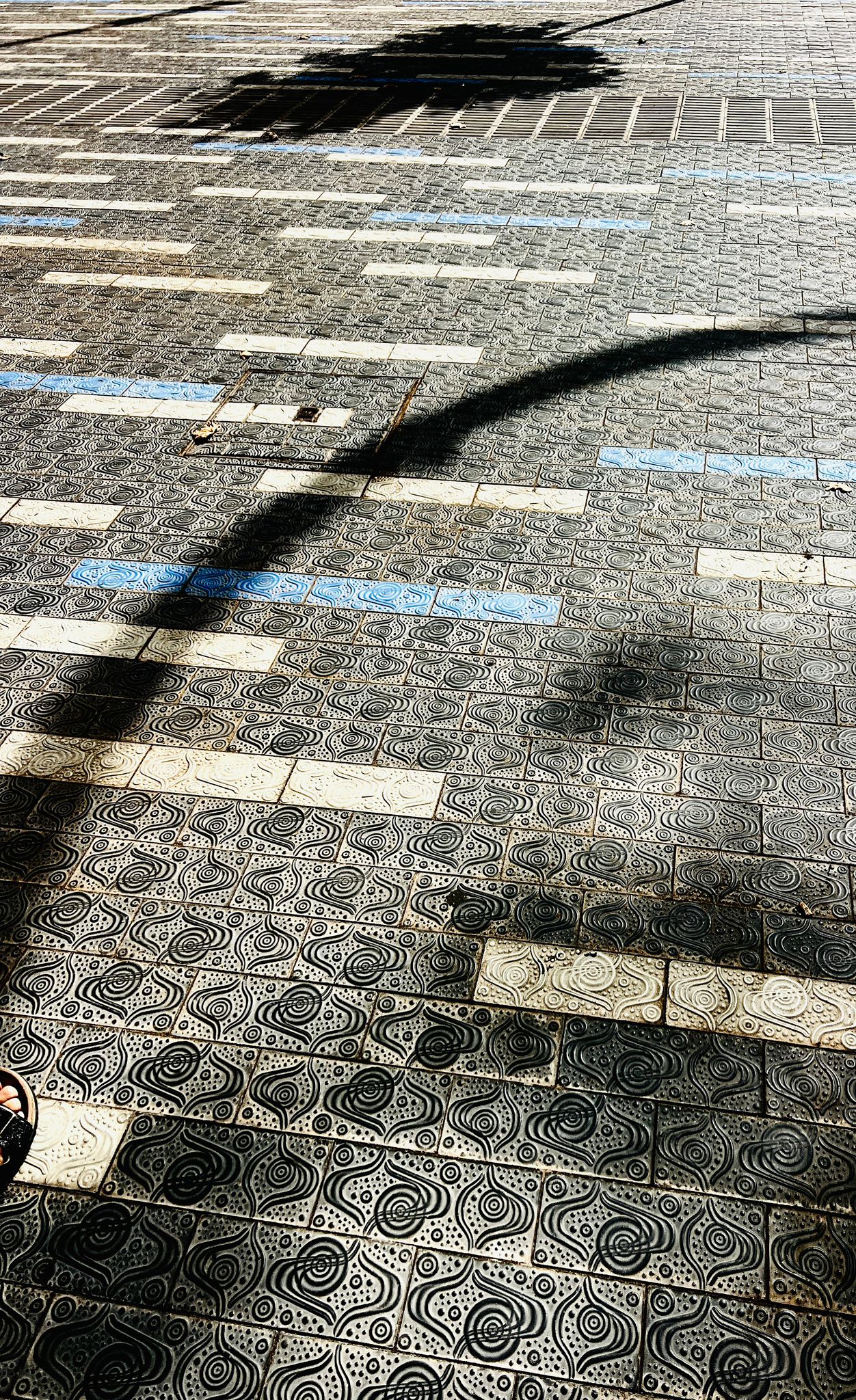 Imagen de galería.