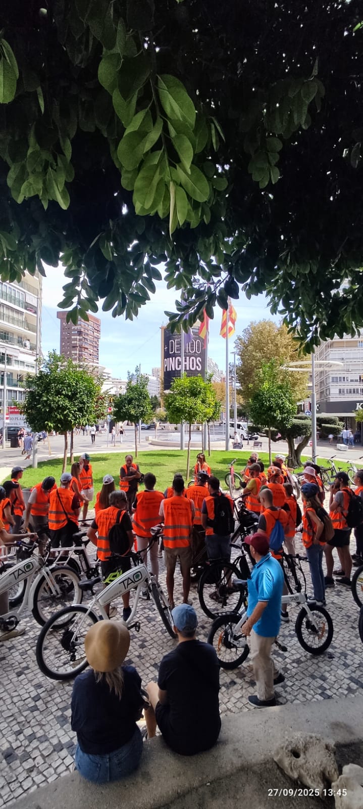 Imagen de galería.