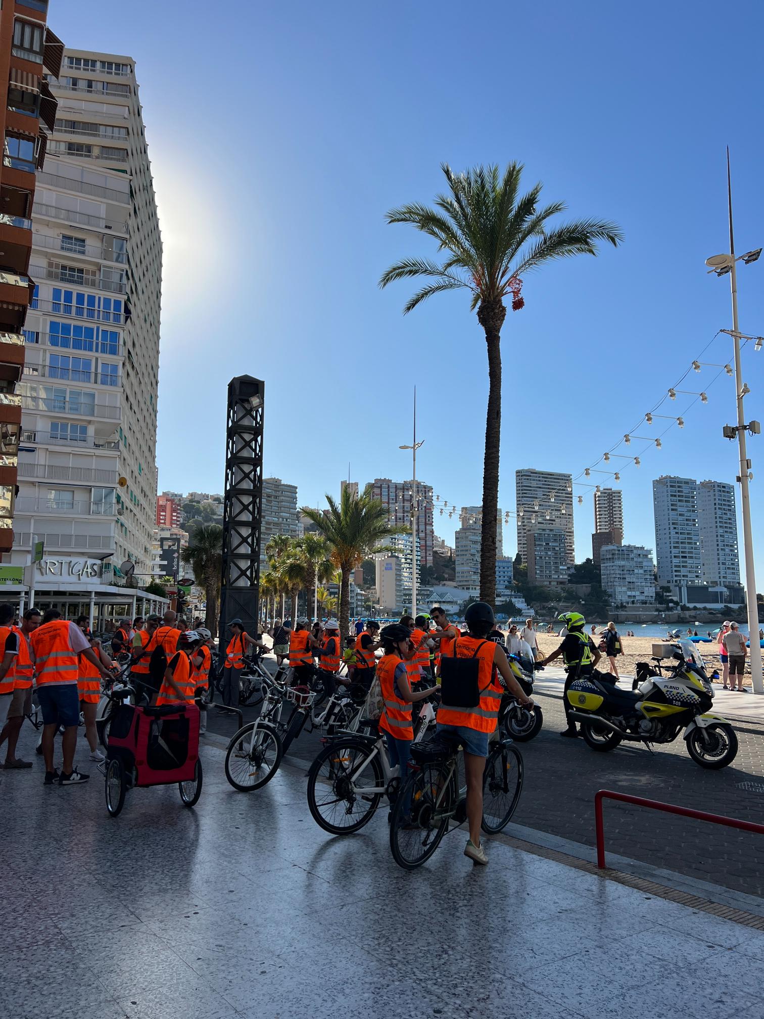 Imagen de galería.