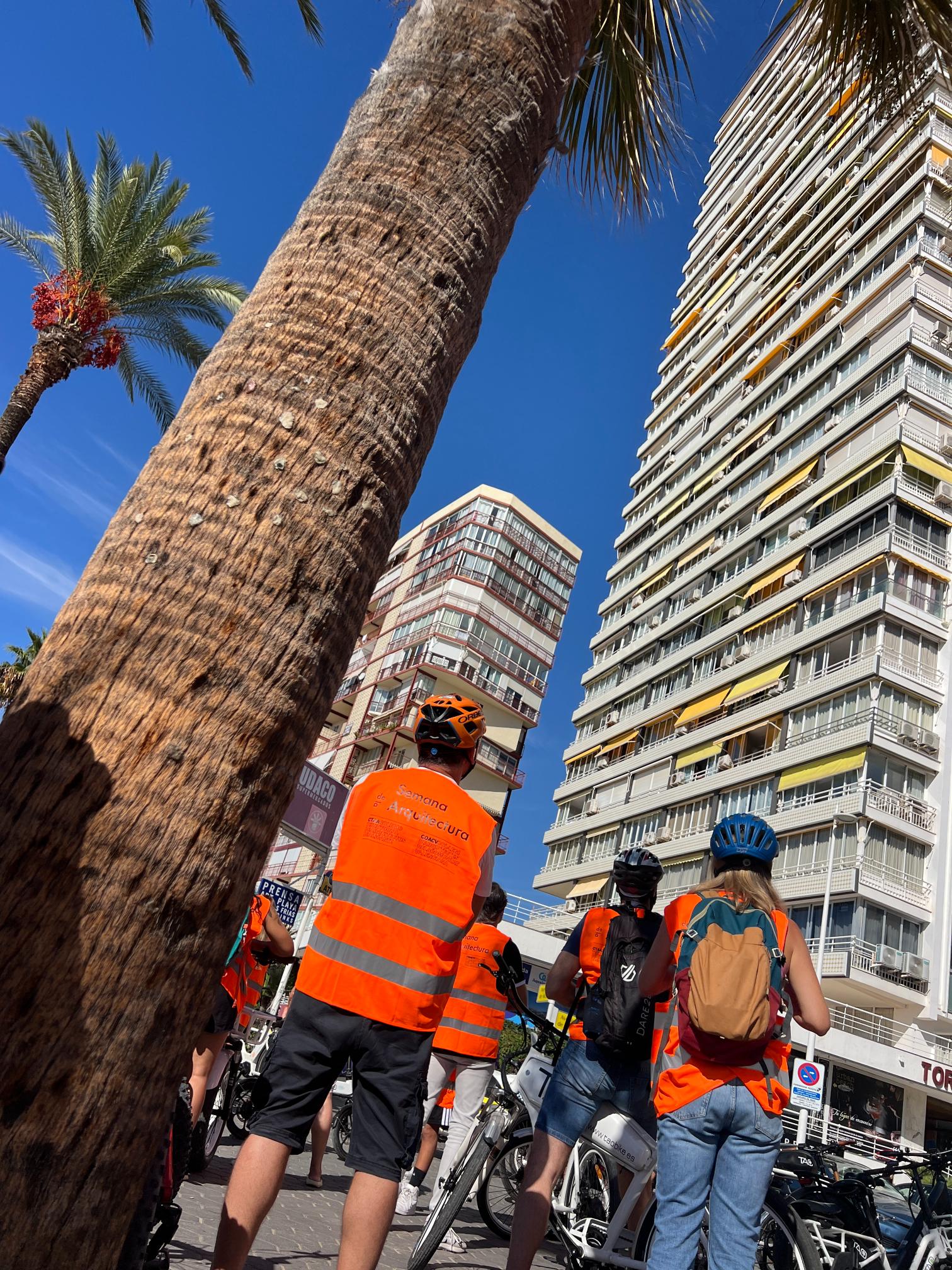 Imagen de galería.