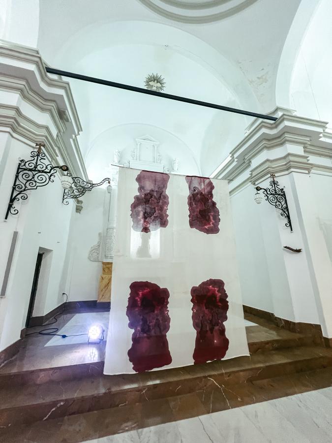 Imagen de galería.