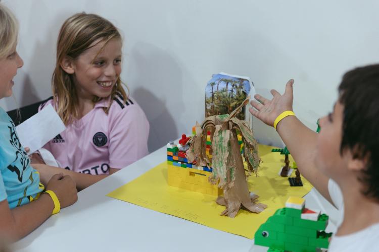 Imagen de galería.