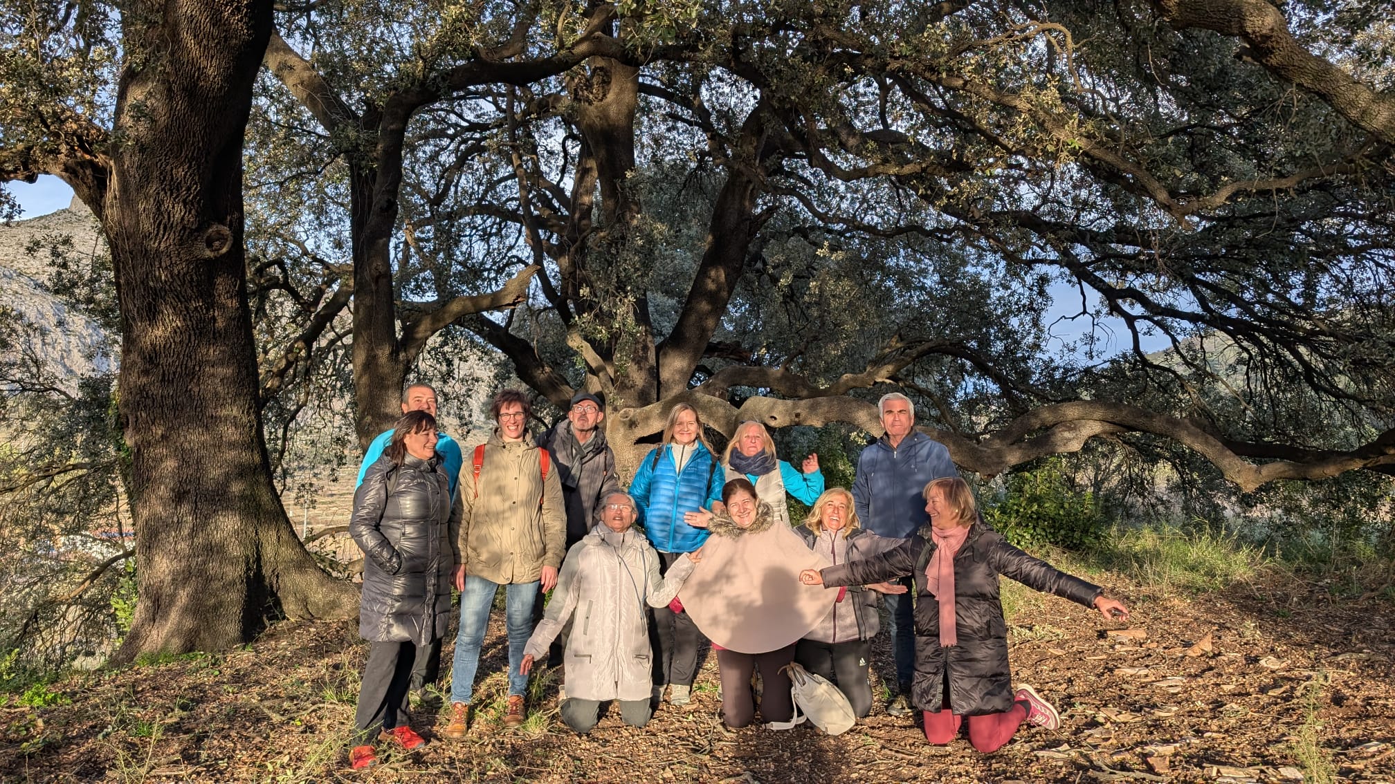 Imagen de galería.
