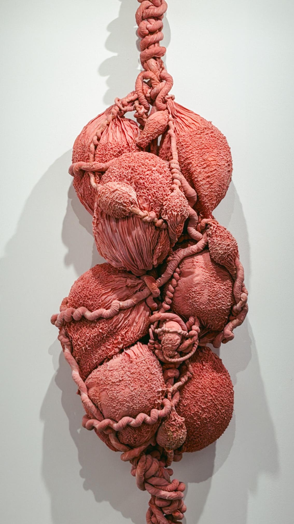 Imagen de galería.