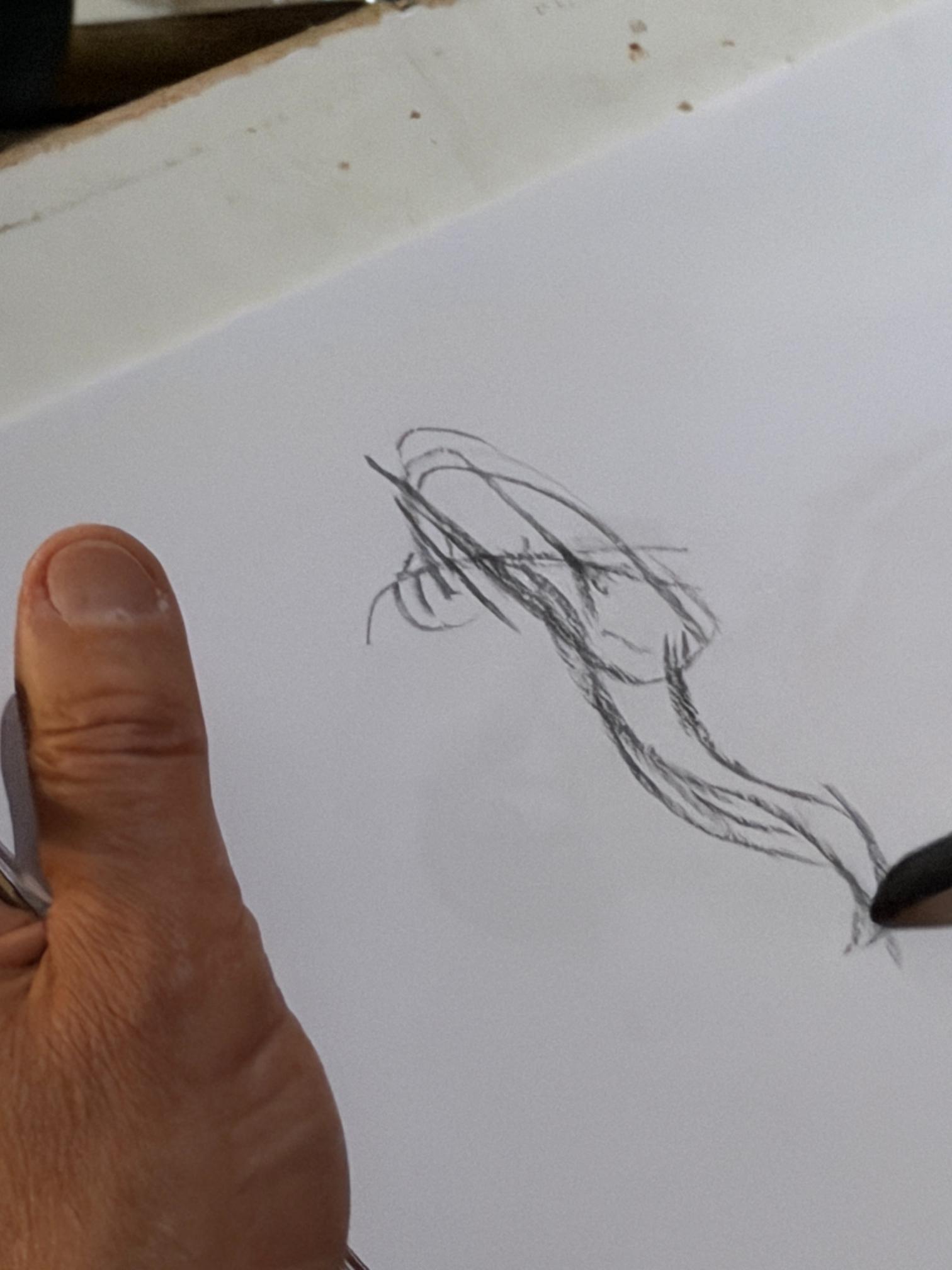 Imagen de galería.