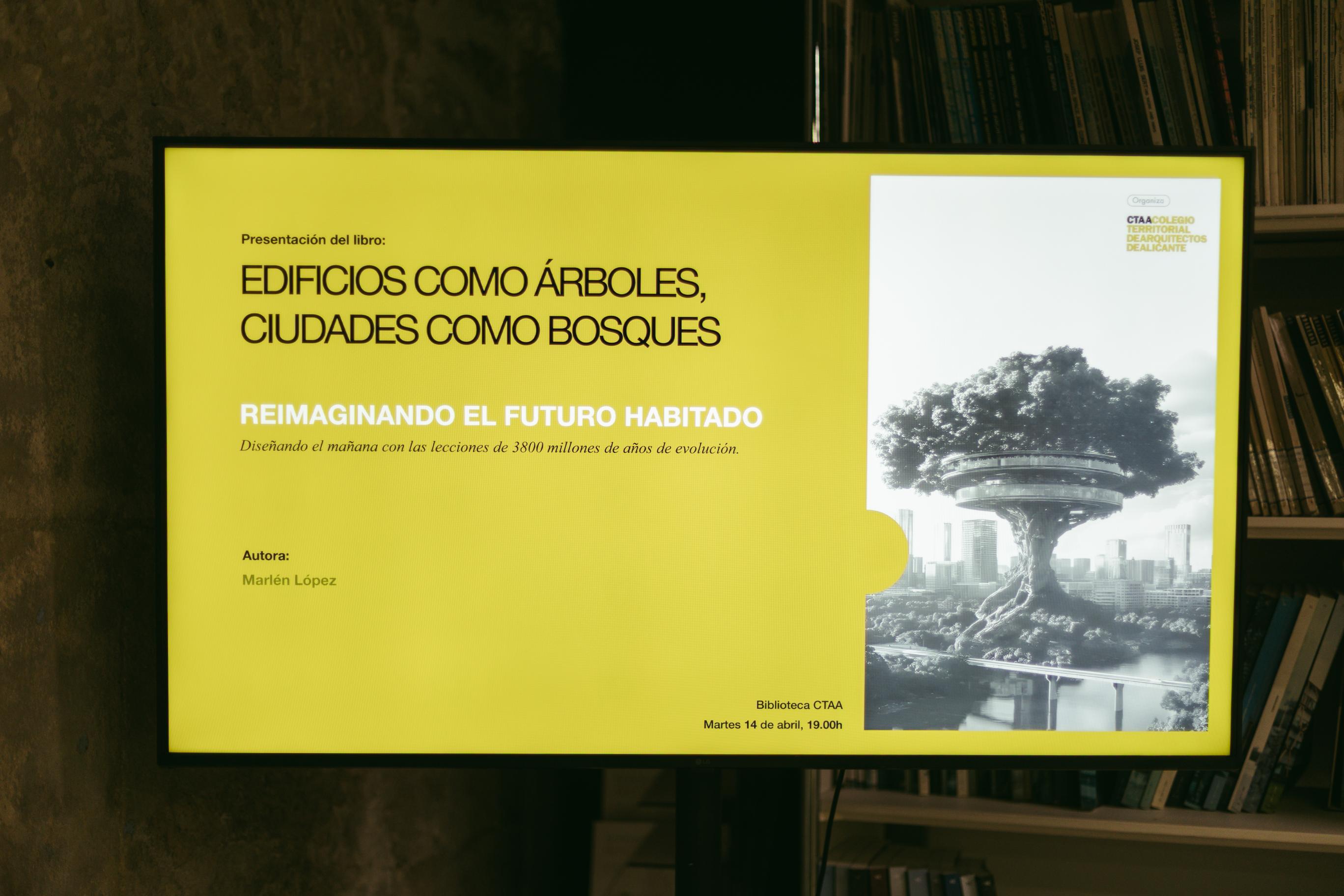 Imagen de galería.