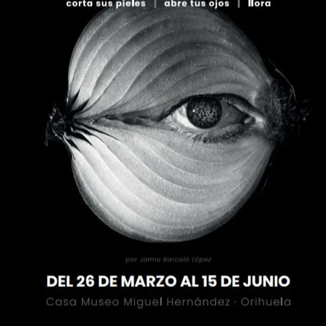 La muestra «Casa Cebolla» se inaugurará este miércoles en la Casa Museo Miguel Hernández