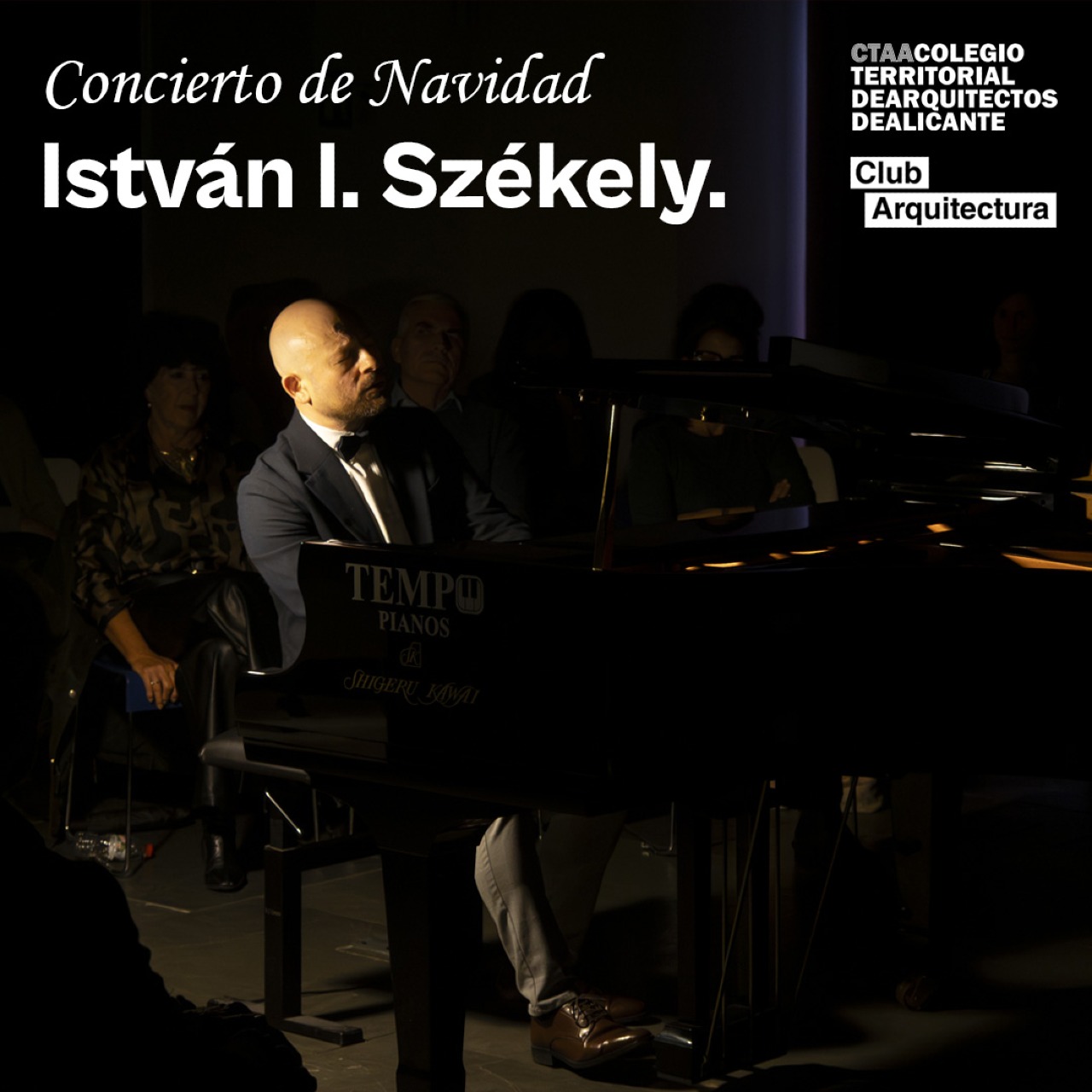 Galería concierto de Navidad CTAA 2025