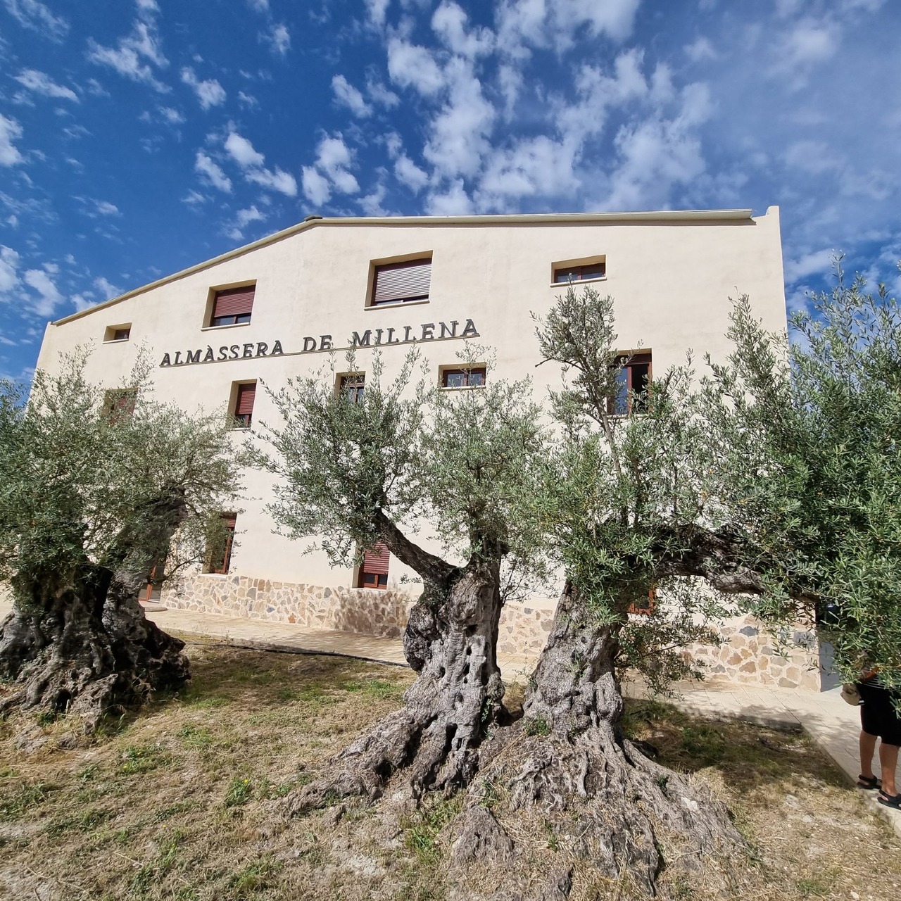 La Arquitectura del AOVE