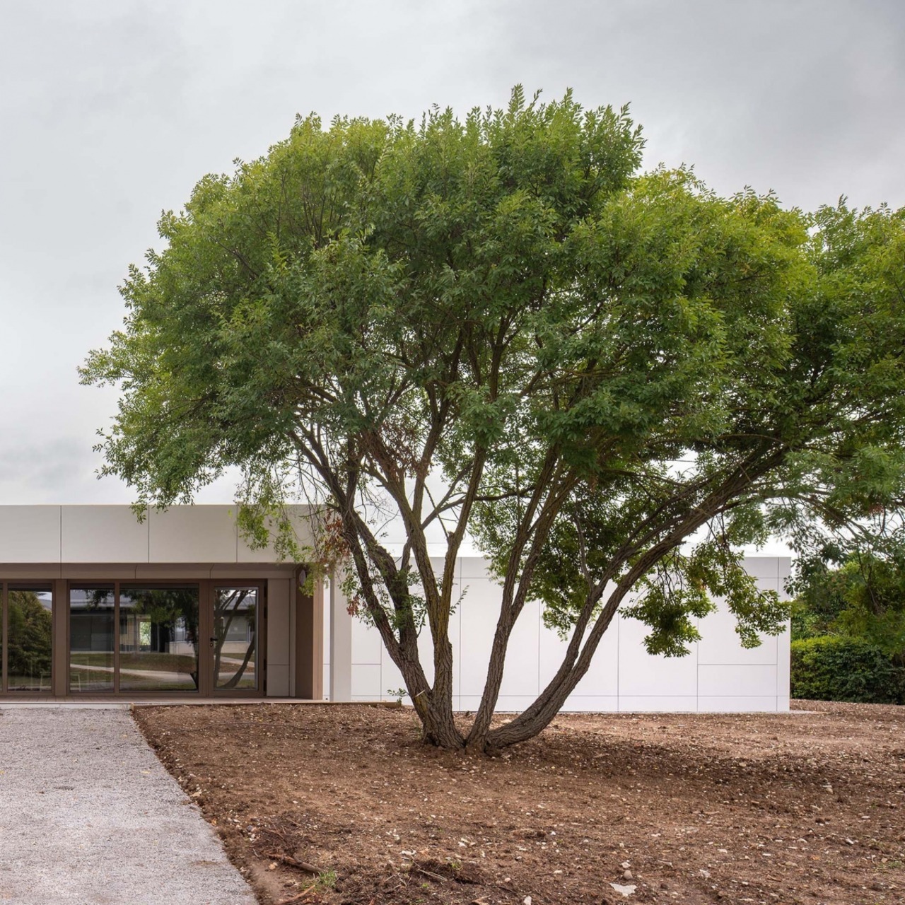  El MACA se cita con los arquitectos Javier Barcos y Manuel Enríquez para pensar el modelo de vivienda