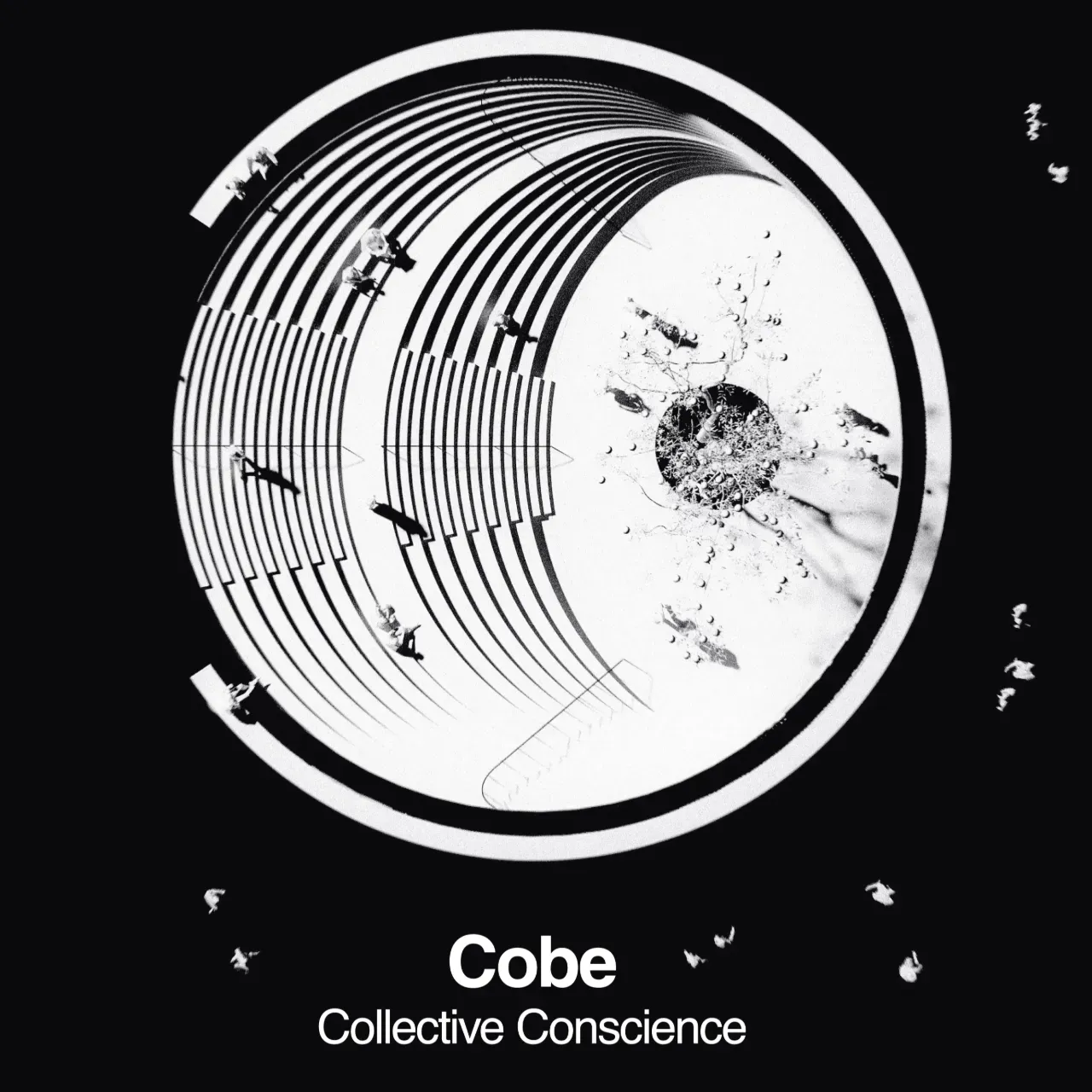 AV Cobe. Collective Conscience
