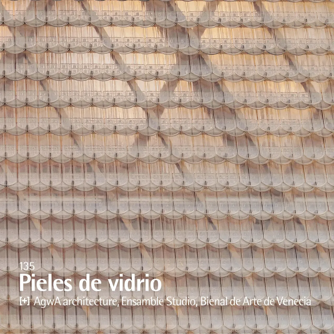 AV Proyectos. Pieles de vidrio